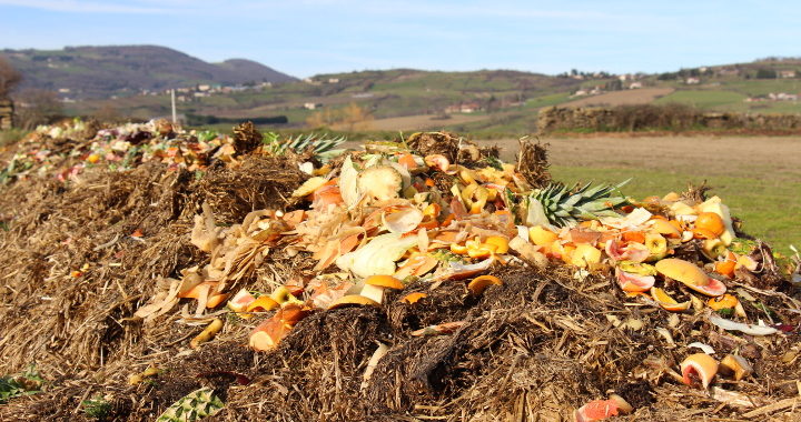 Gestion de biodéchets Un andain de lombricompostage, outil clé de lestion et valorisation des biodéchets par Terrestris