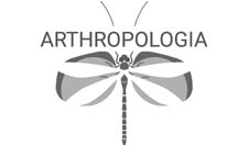 ARTHROPOLOGIA, association naturaliste pour les insectes et la biodiversité