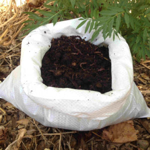 Compost pour Vers de Terre