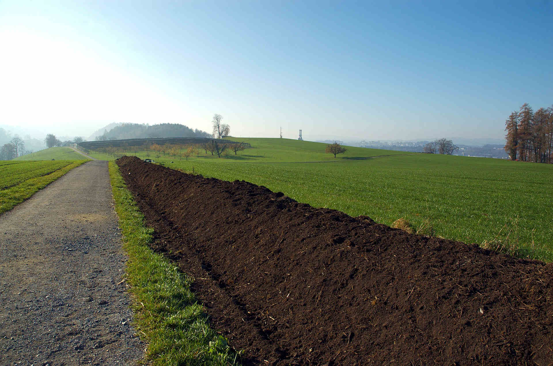 Acheter des lombrics en grande quantitée - TERRESTRIS