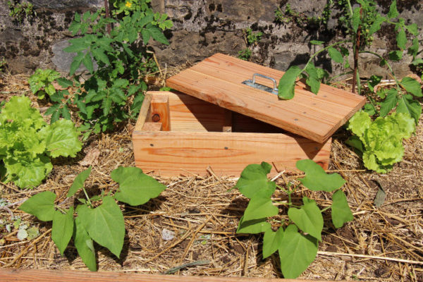 mini lombricomposteur en bois