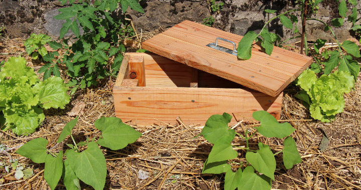 Mini lombricomposteur en bois mini lombricomposteur en bois