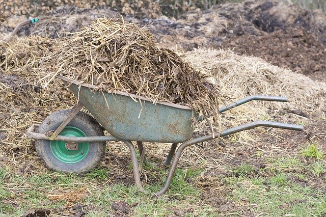 Achat de fumier de vache, une brouette ou une benne : livraison autour de Lyon